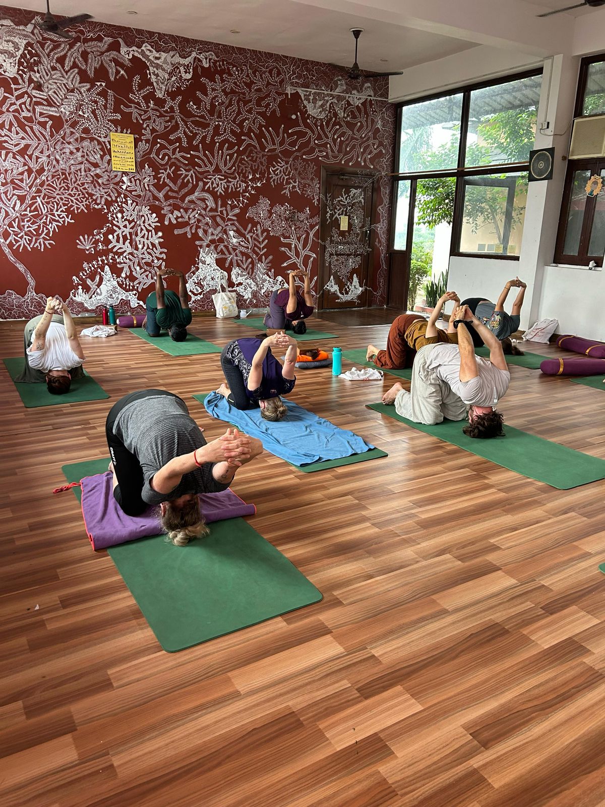300-Hour-Yoga-Teacher-Training-in-Rishikesh