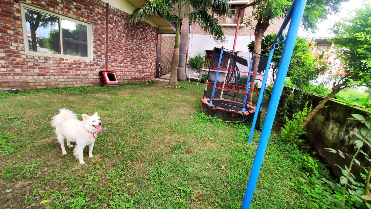 Pratham Yoga Rishikesh Images